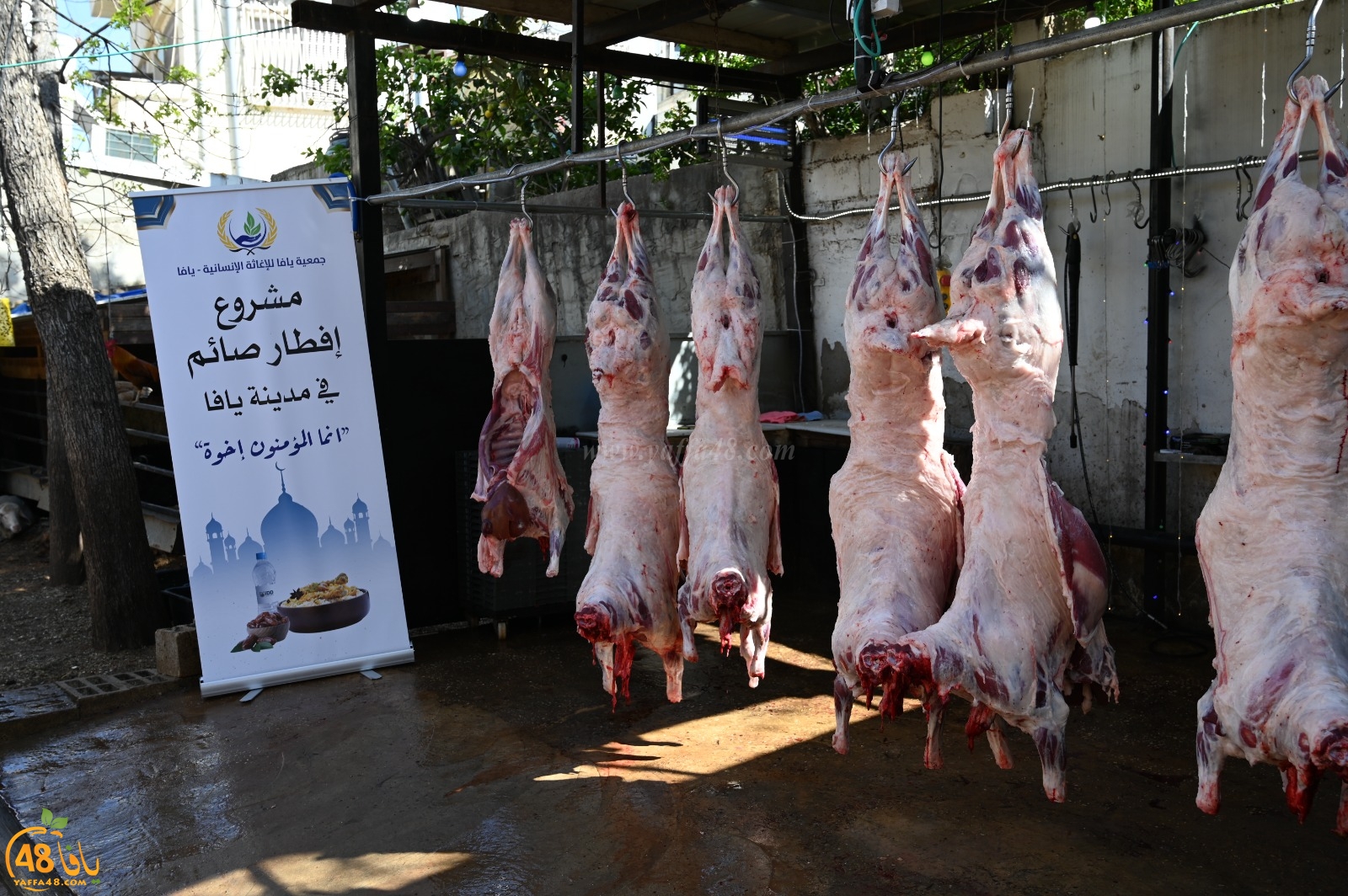 فيديو: للعام الثالث - دعوة للإفطار في ساحة مسجد الجبلية يوم الأربعاء المقبل